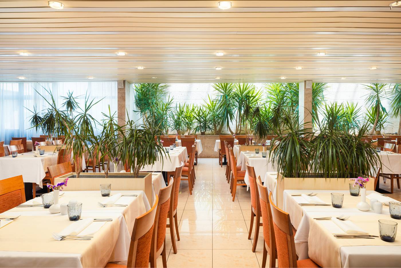 Marko-Polo-Restaurant-43