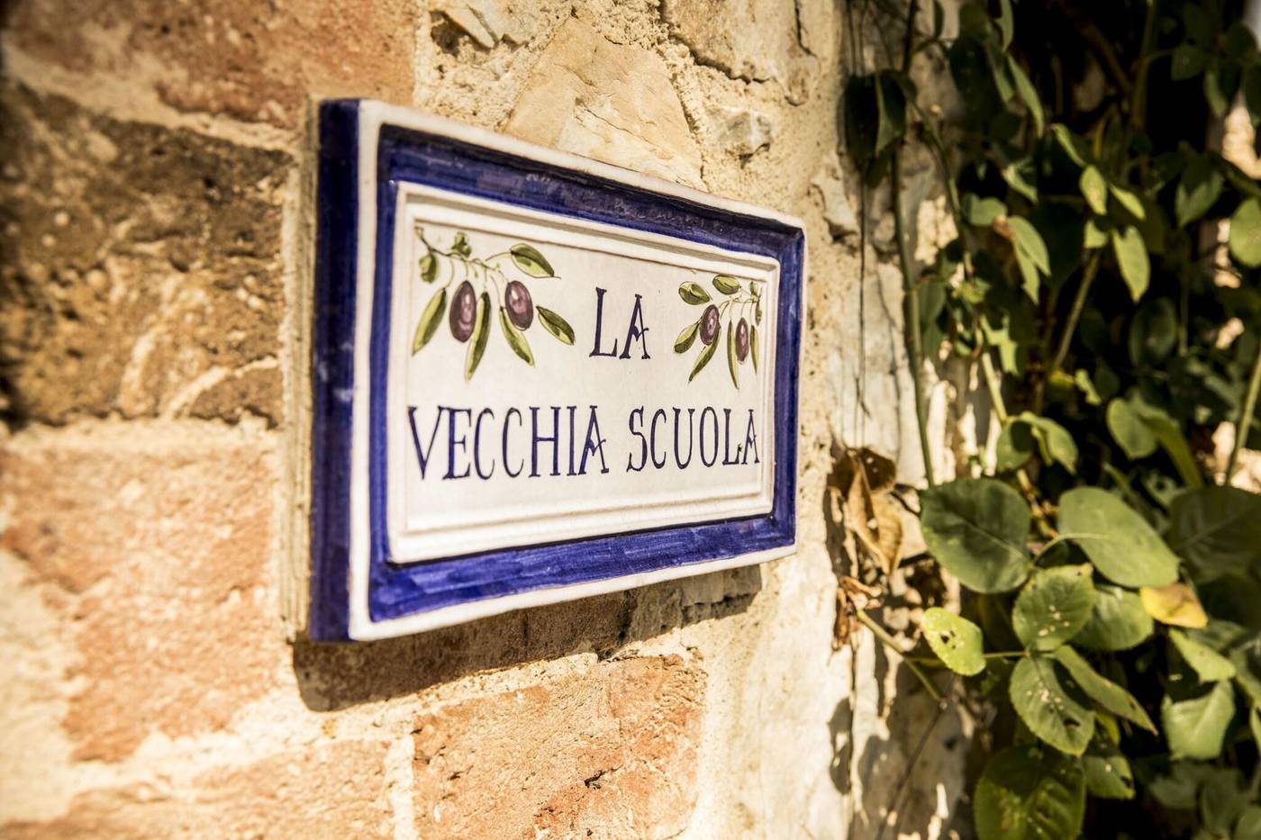 Borgo Il Poggiaccio-Italy-Sovicille-General view-2