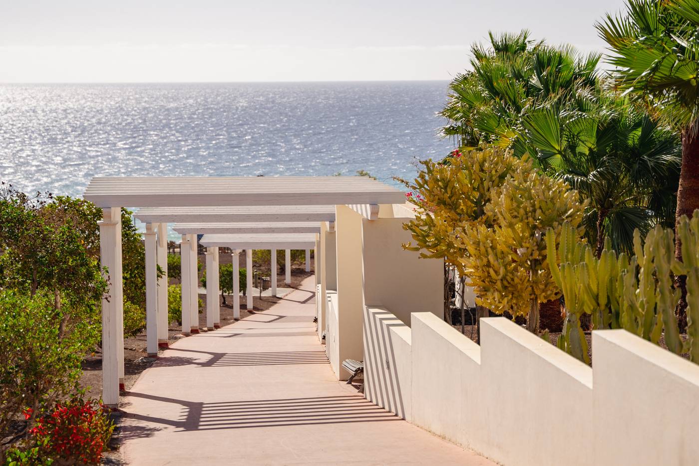 Iberostar Waves Playa Gaviotas