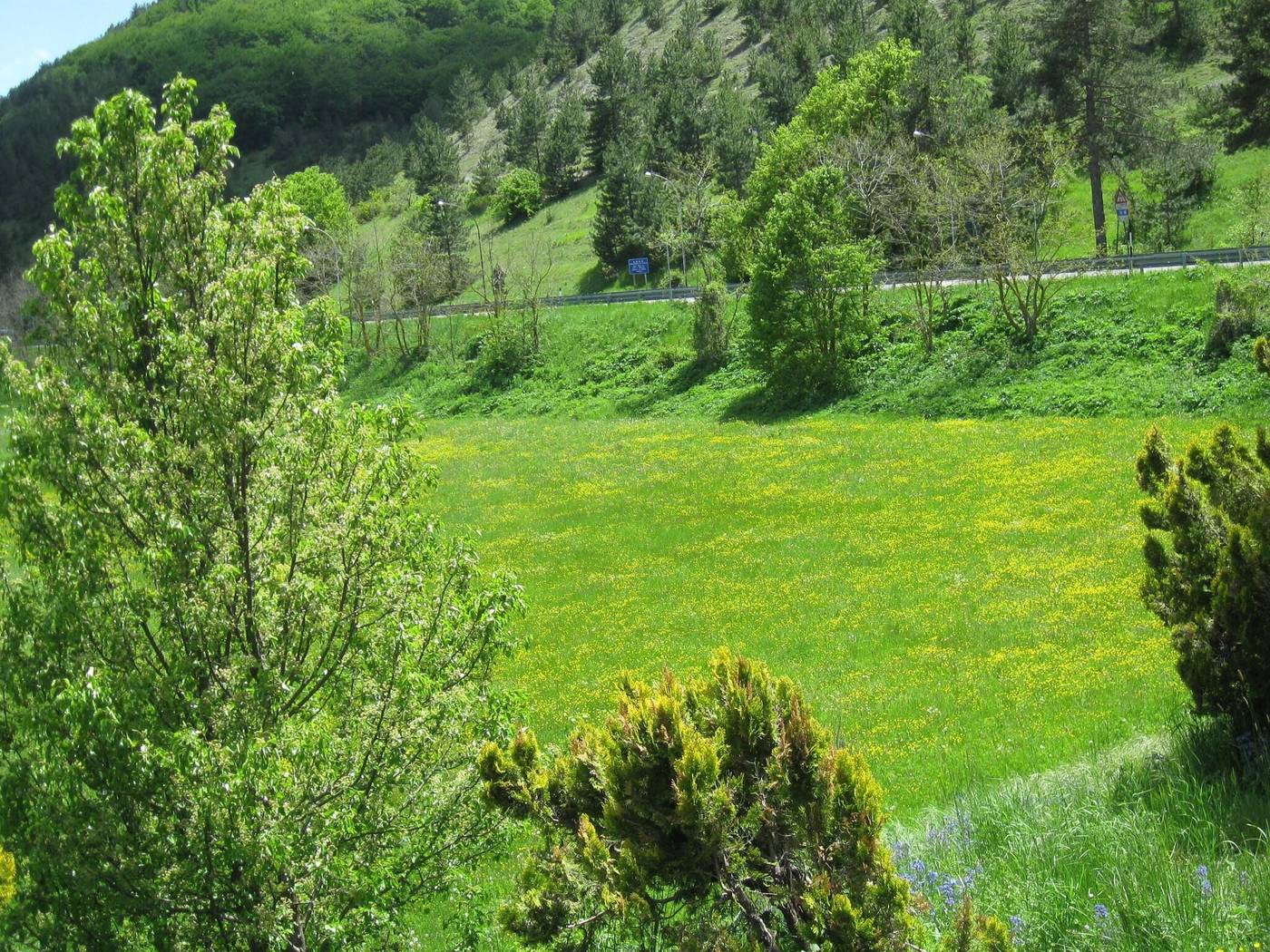 Holidays-Sports-and-Entertainment-24