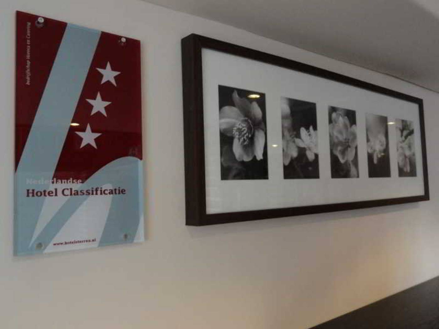 Grand Canal Delft-Netherlands-DELFT-General view-7