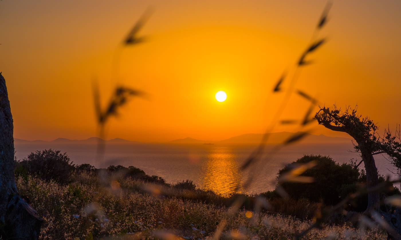 Bajaloglia Resort-Italy-CASTELSARDO-SARDEGNA-General view-5