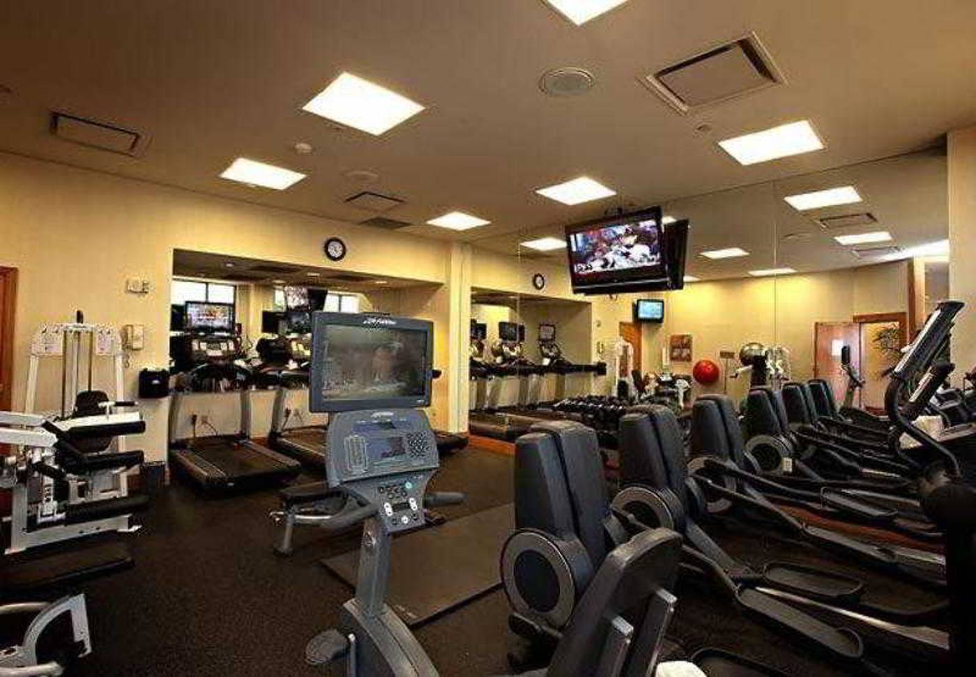 Phoenix Airport Marriott-United States-PHOENIX-General view-9