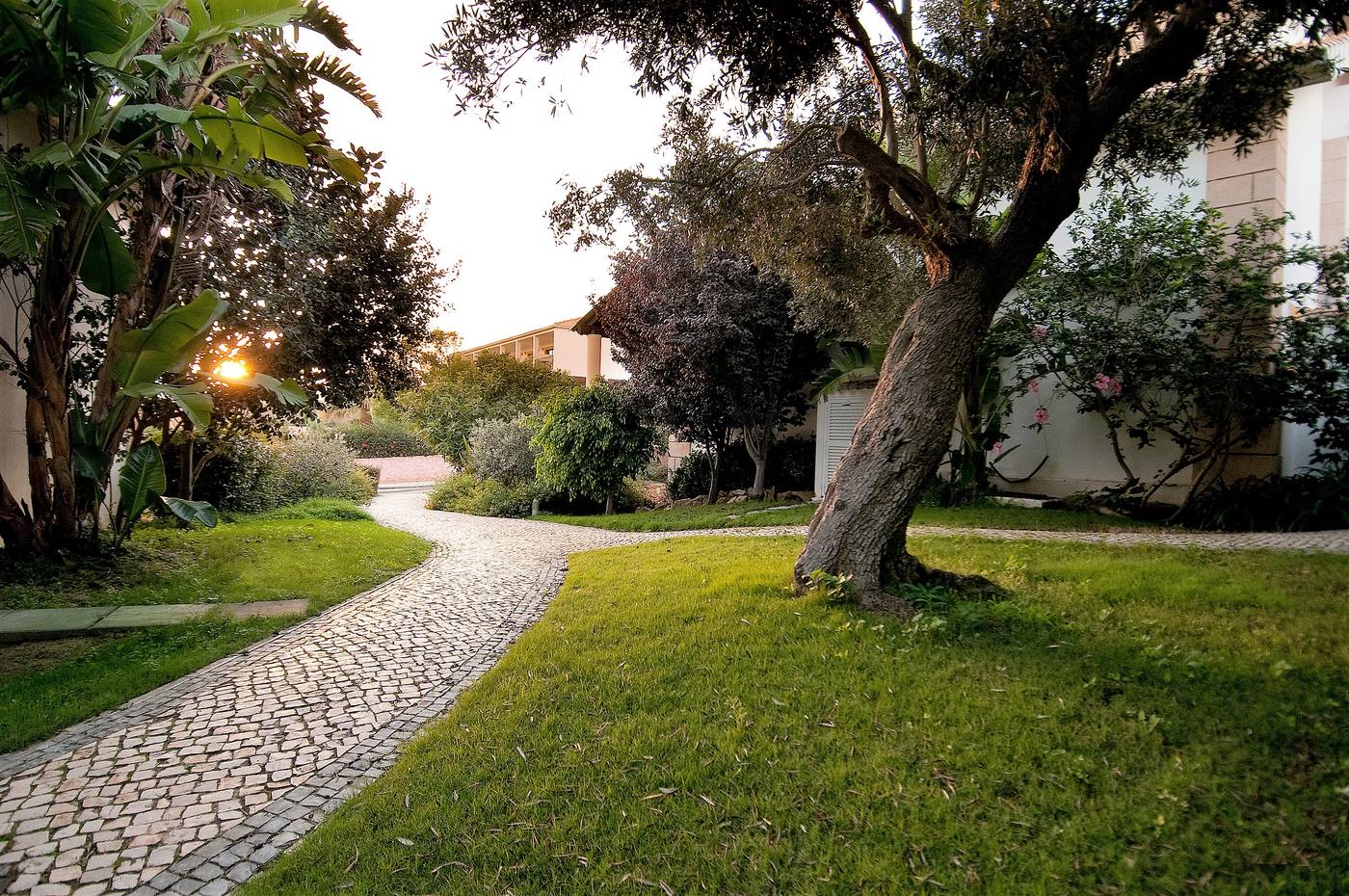 Luzmar-Villas-Terrace-15