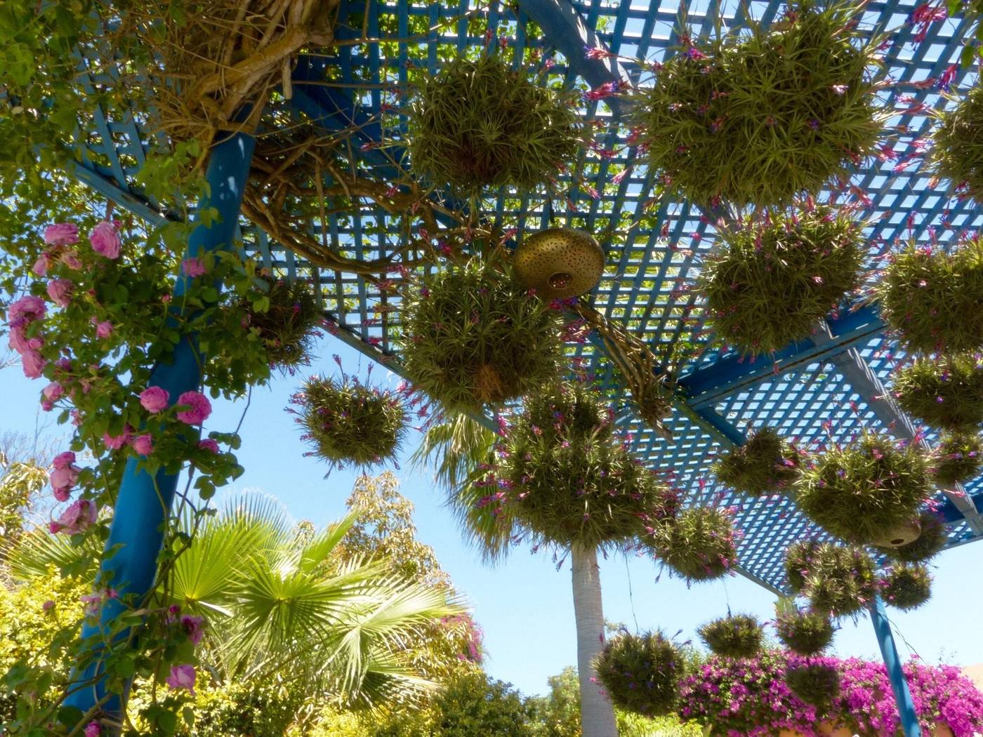 Villa Mandarine-Morocco-RABAT -General view-2