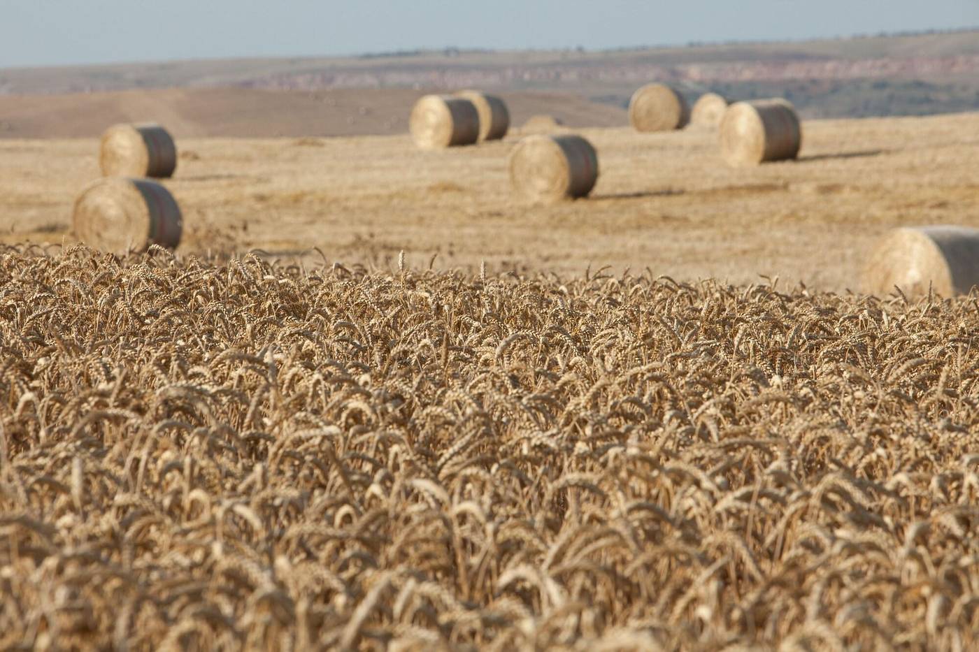 Tenuta Danesi-Italy-MATERA-General view-4