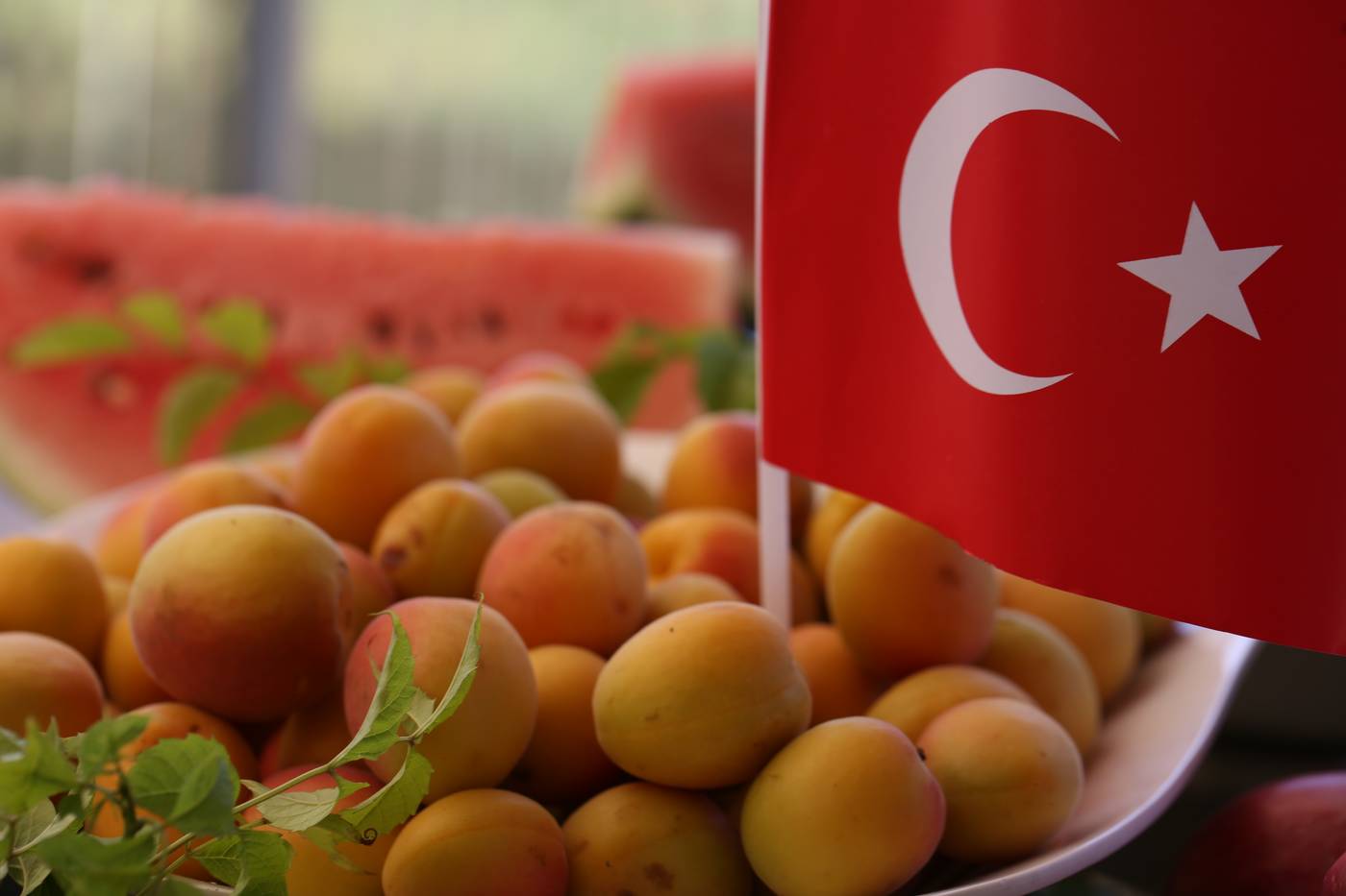 Port-River-Hotel---Spa-Beach-96