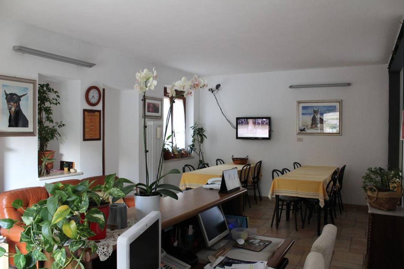 Villa Rosy-Italy-VIAREGGIO -General view-10
