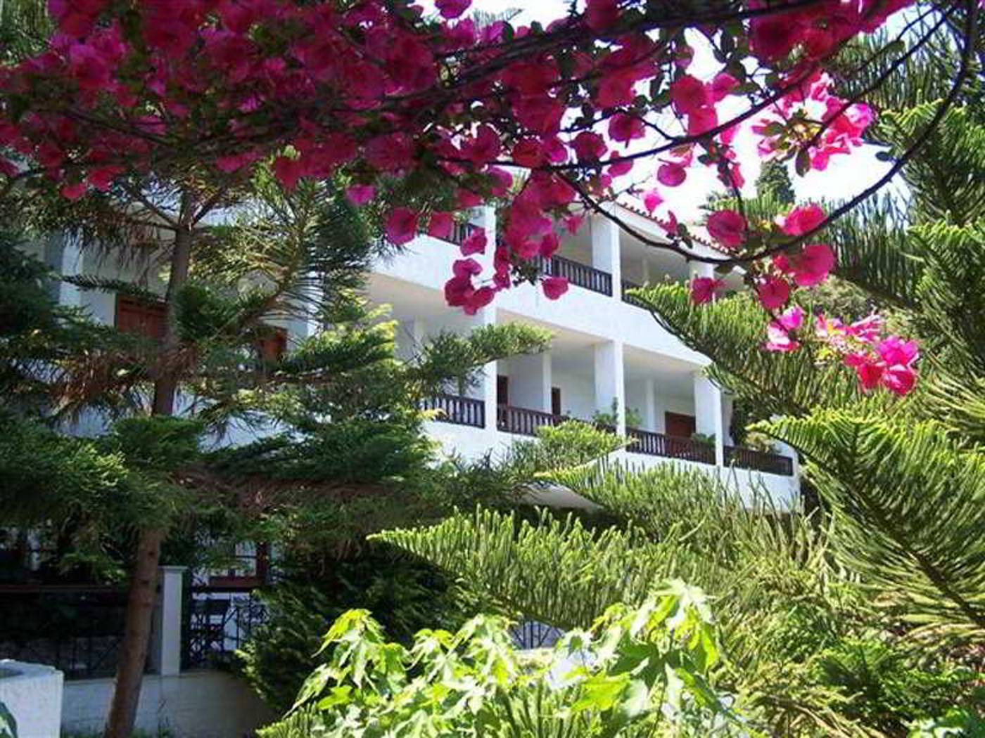 Daphne-Hotel-General-view-4