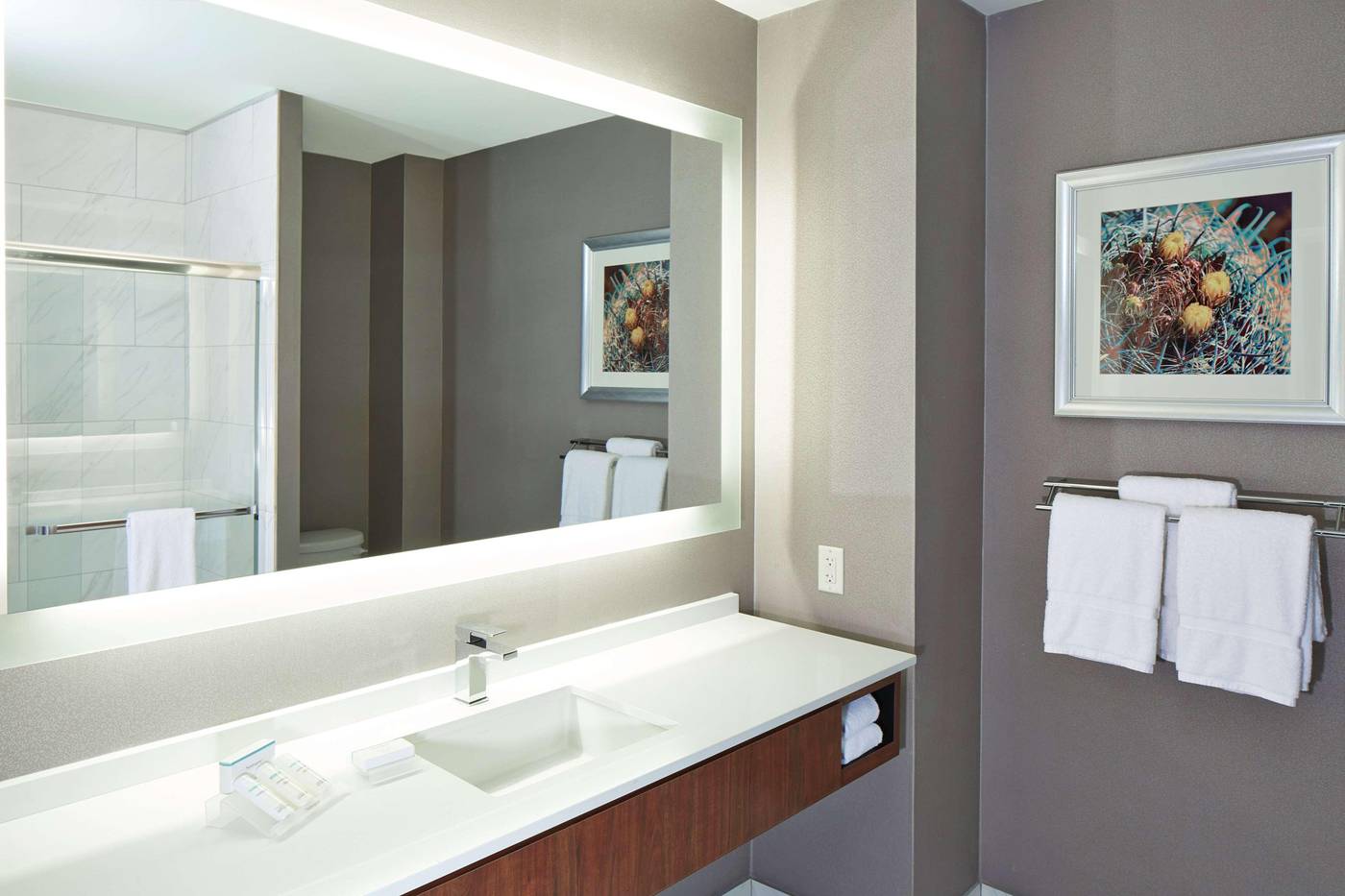 Hilton Garden Inn Phoenix Downtown-United States-PHOENIX-Room-6