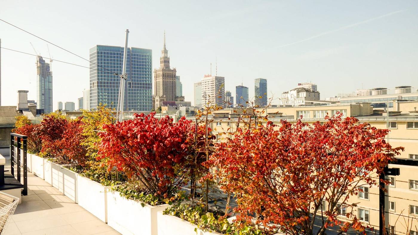 No-4-Residence-Room-35