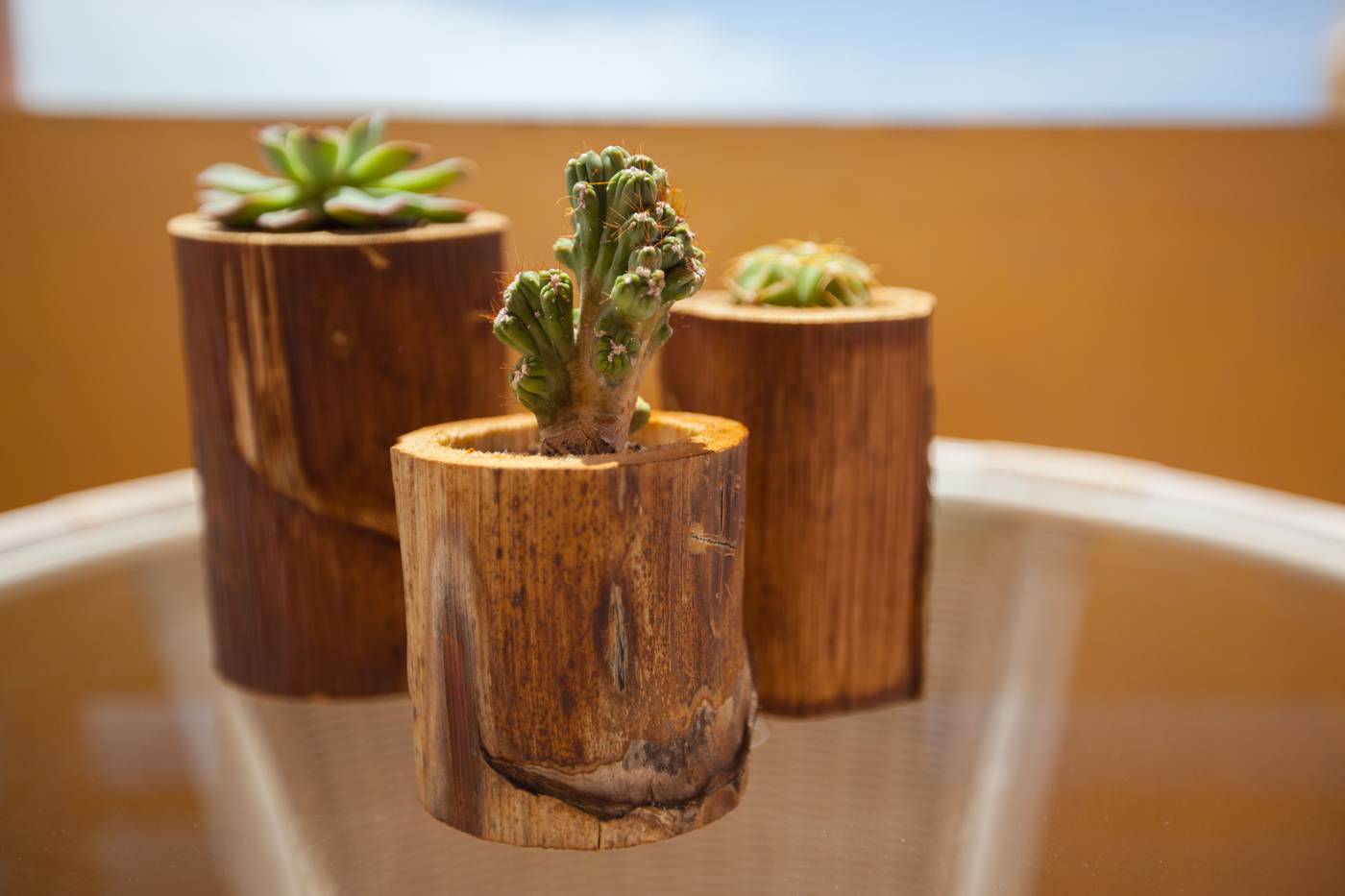 Corallium-Dunamar-by-Lopesan-Hotels-Terrace-38