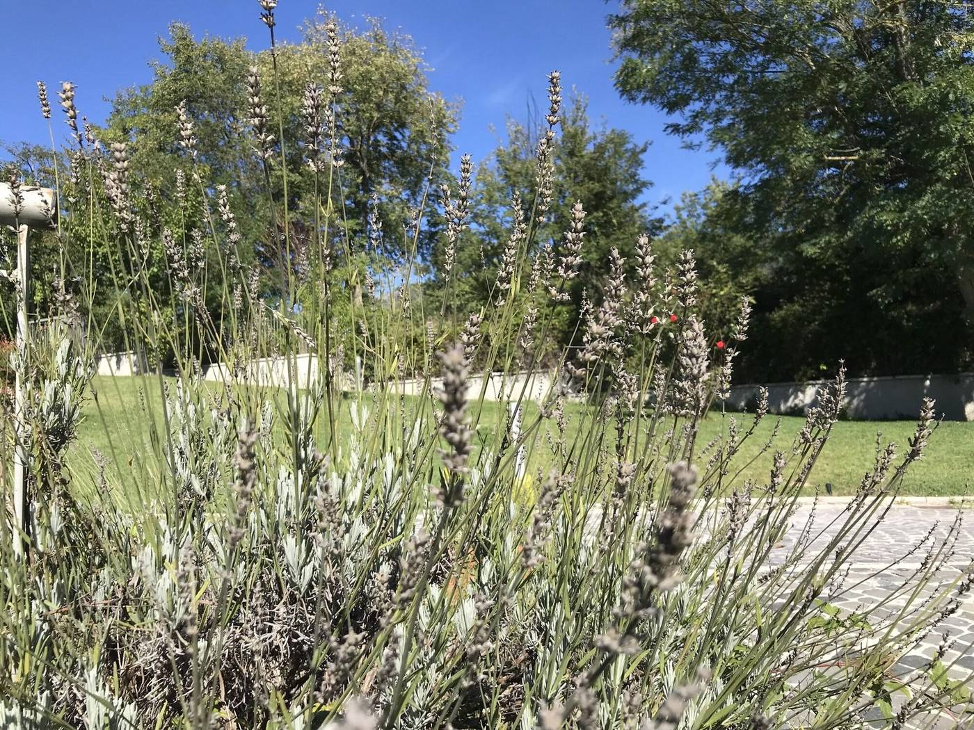 Oasi-Del-Vetoio-General-view-27