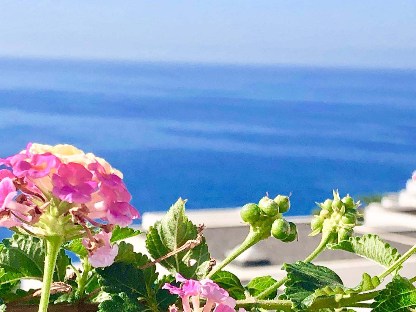 Bahia-Blanca-Terrace-68