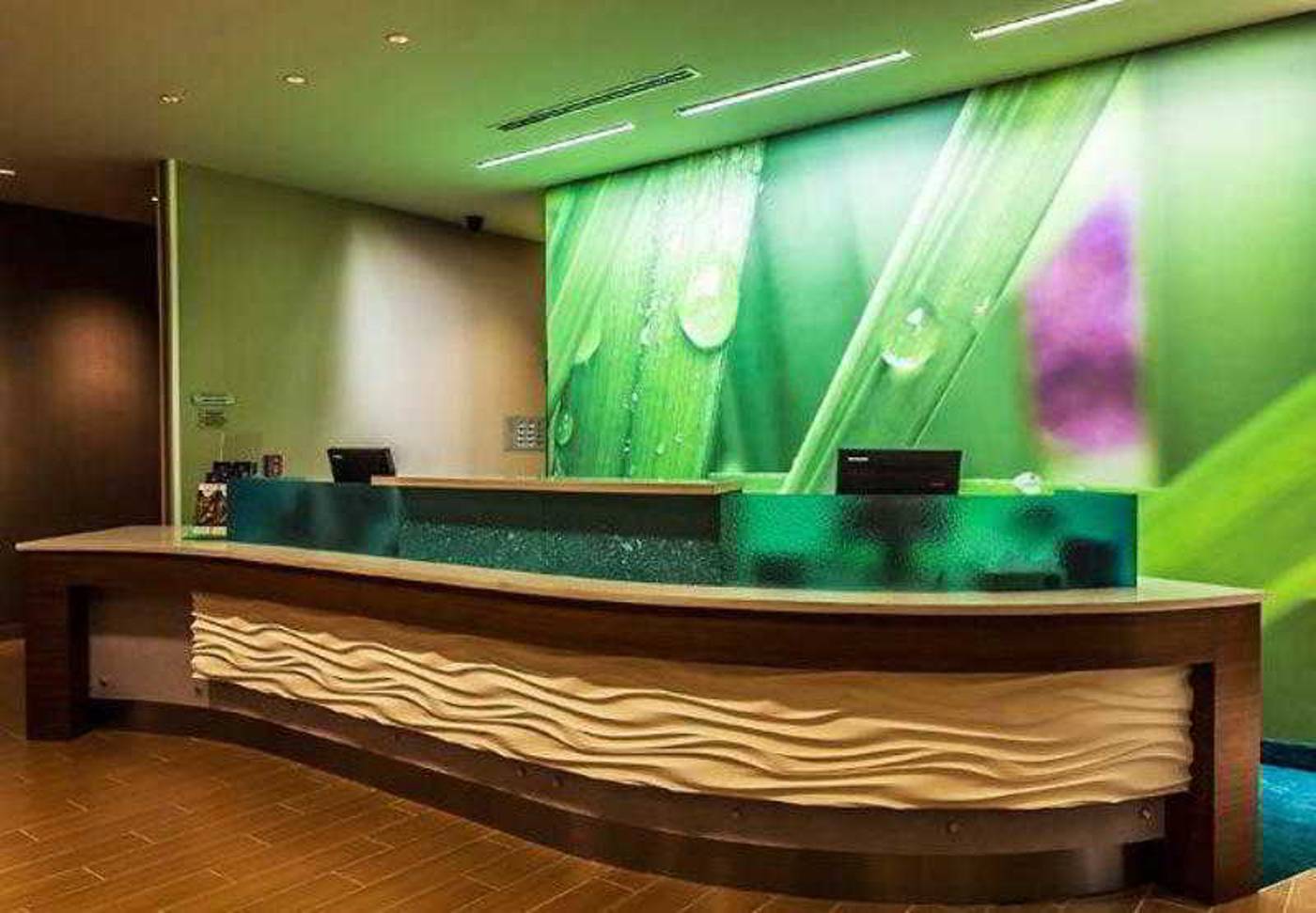 SpringHill Suites Philadelphia Valley Forge-United States-KING OF PRUSSIA-General view-7