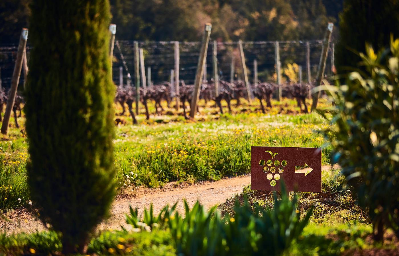 Hotel-Castell-D-Emporda-Sports-and-Entertainment-13