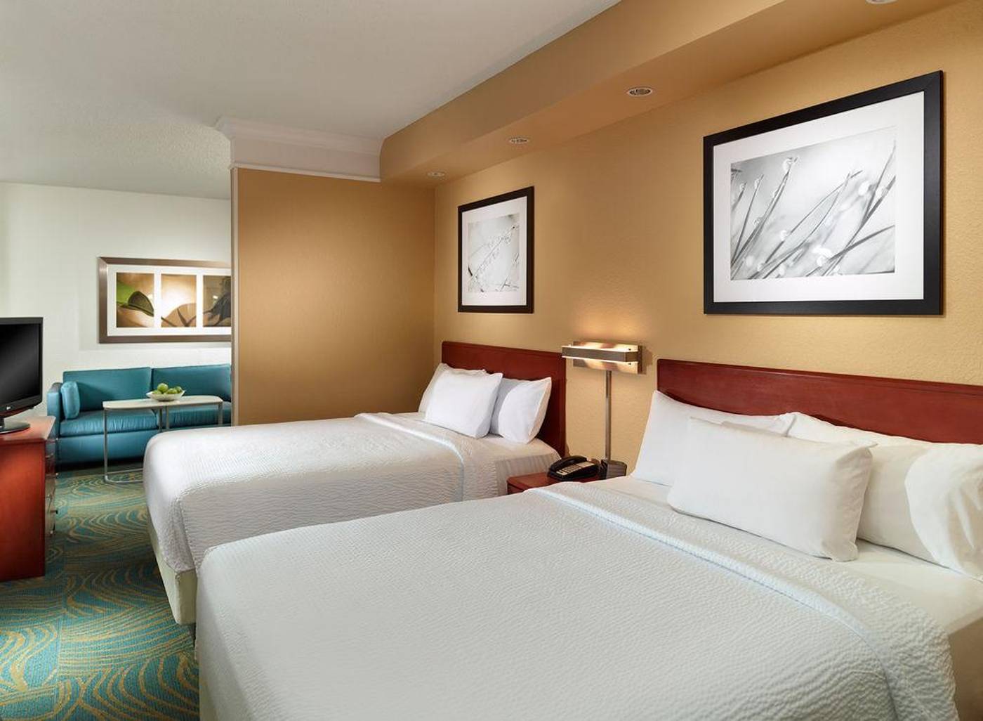 Springhill Suites By Marriott Atlanta Buckhead-United States-Atlanta-General view-8