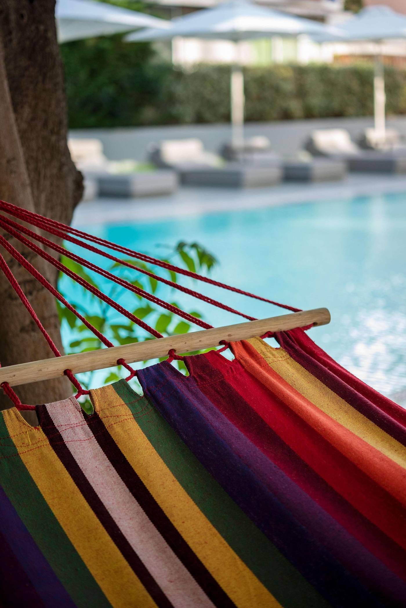 Oktober-Downtown-Boutique-Hotel-Pool-11