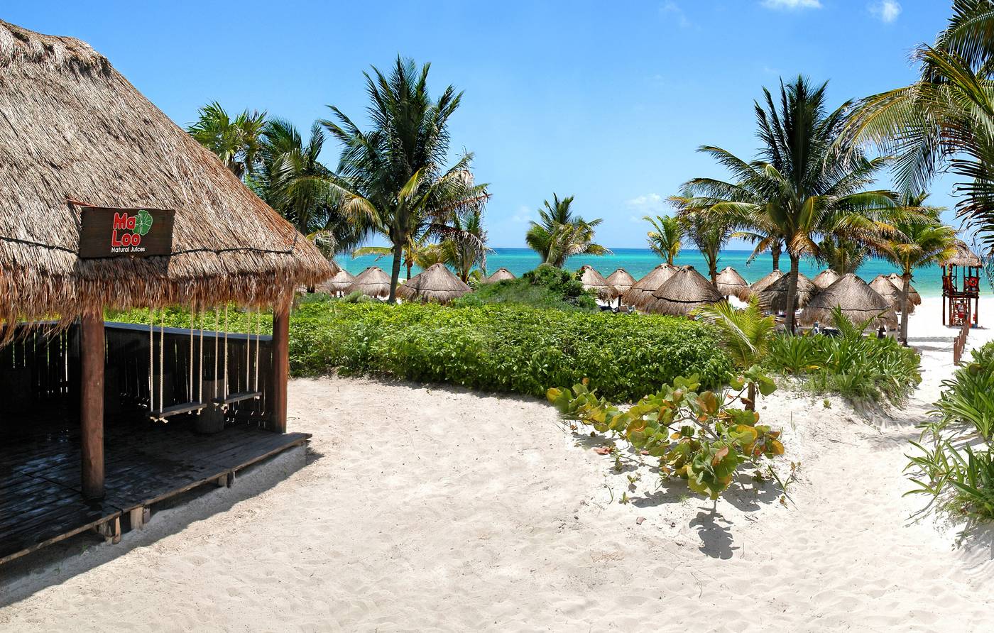 Catalonia-Playa-Maroma-All-Inclusive-Bar-60