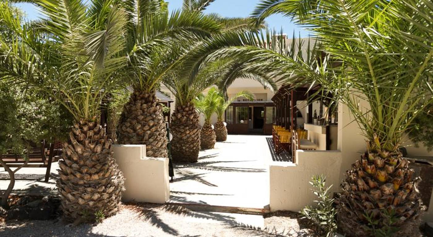 Rena-General-view-12