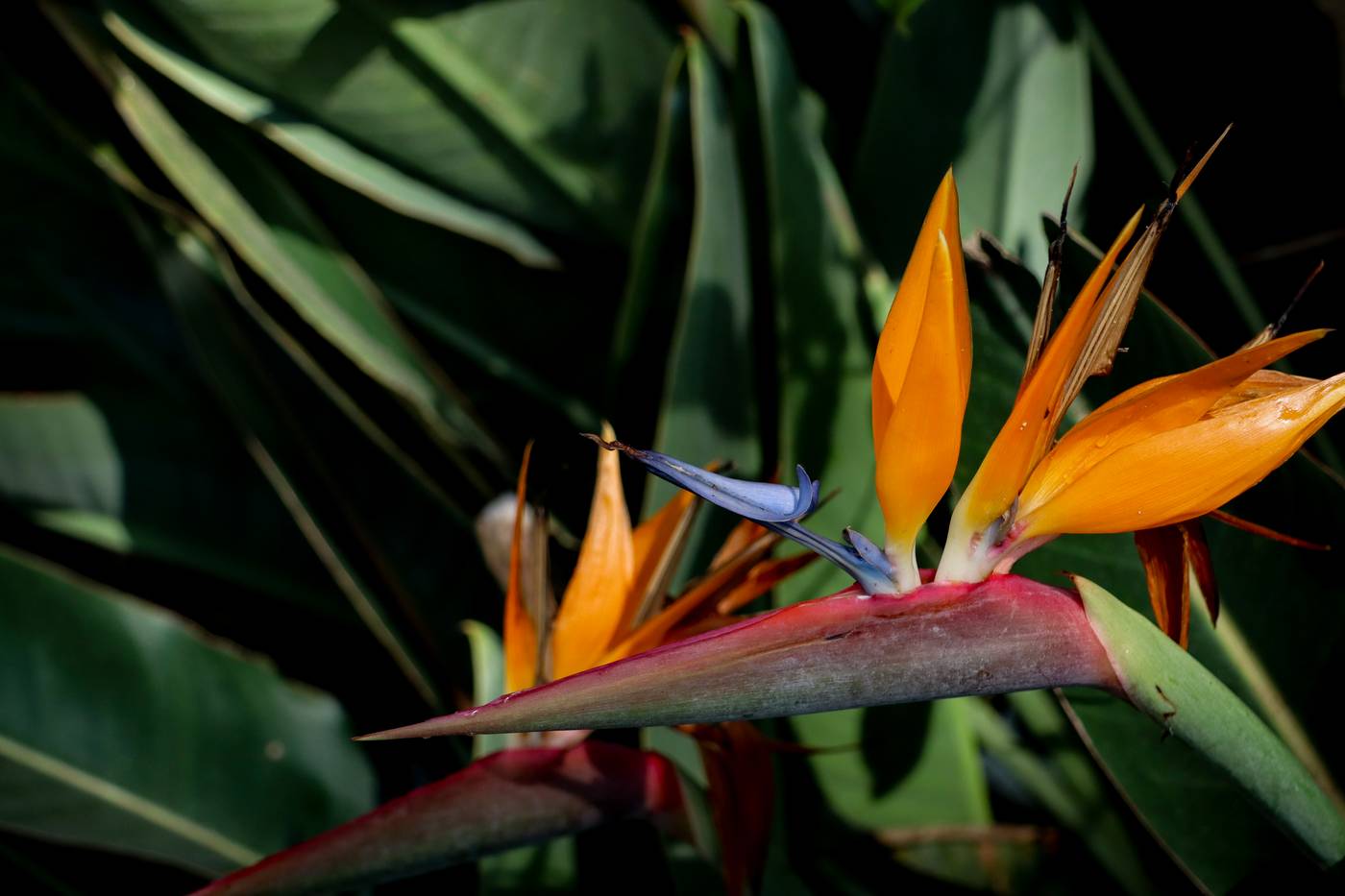 Quinta-da-Bela-Vista-General-view-24