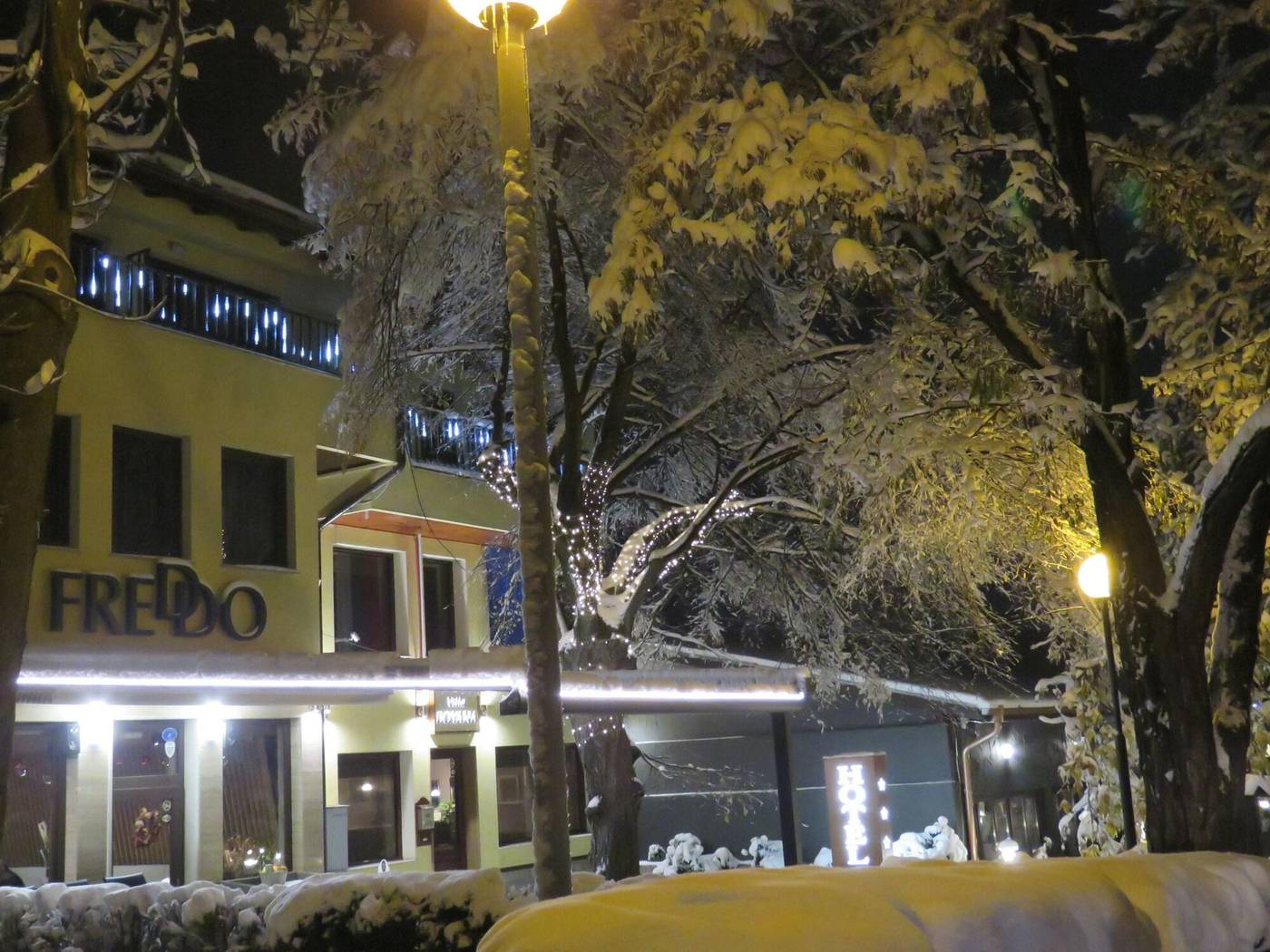 Hotel Villa Boyana-Bulgaria-SOFIA -General view-8