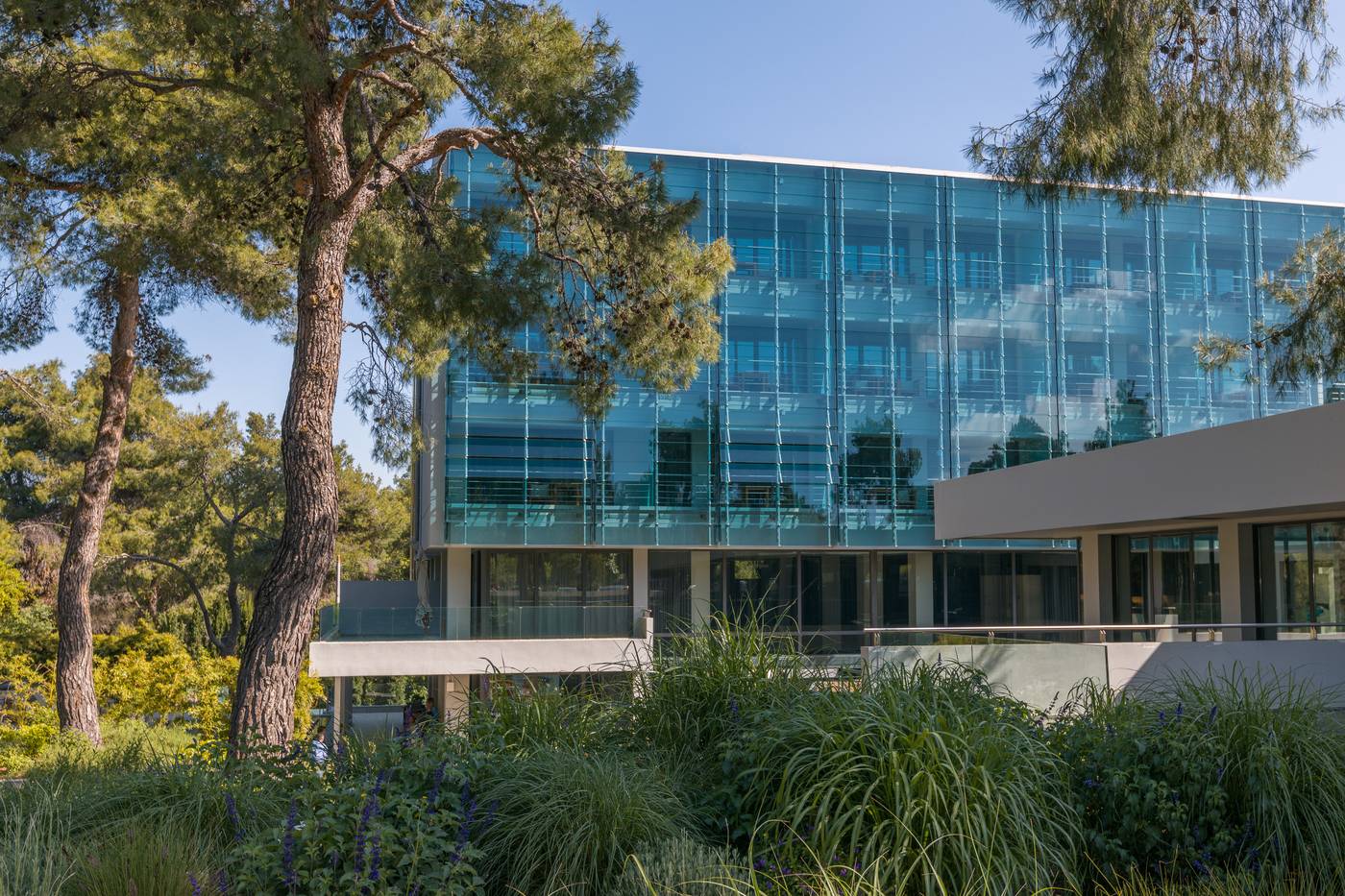 Life-Gallery-athens-General-view-2