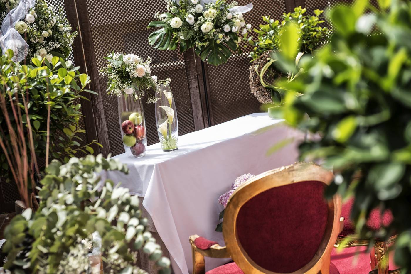 Elba-Almeria-Conferences-7