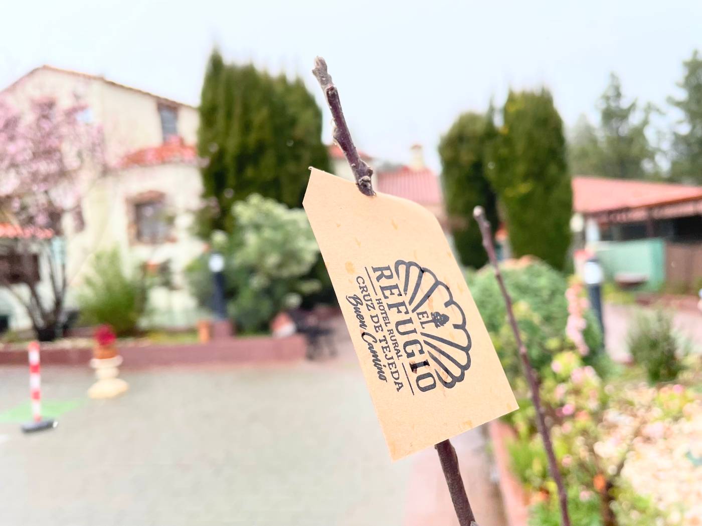 El-Refugio-Terrace-15