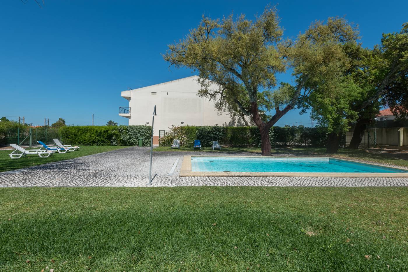 Amazonia-Palmela-Pool-27