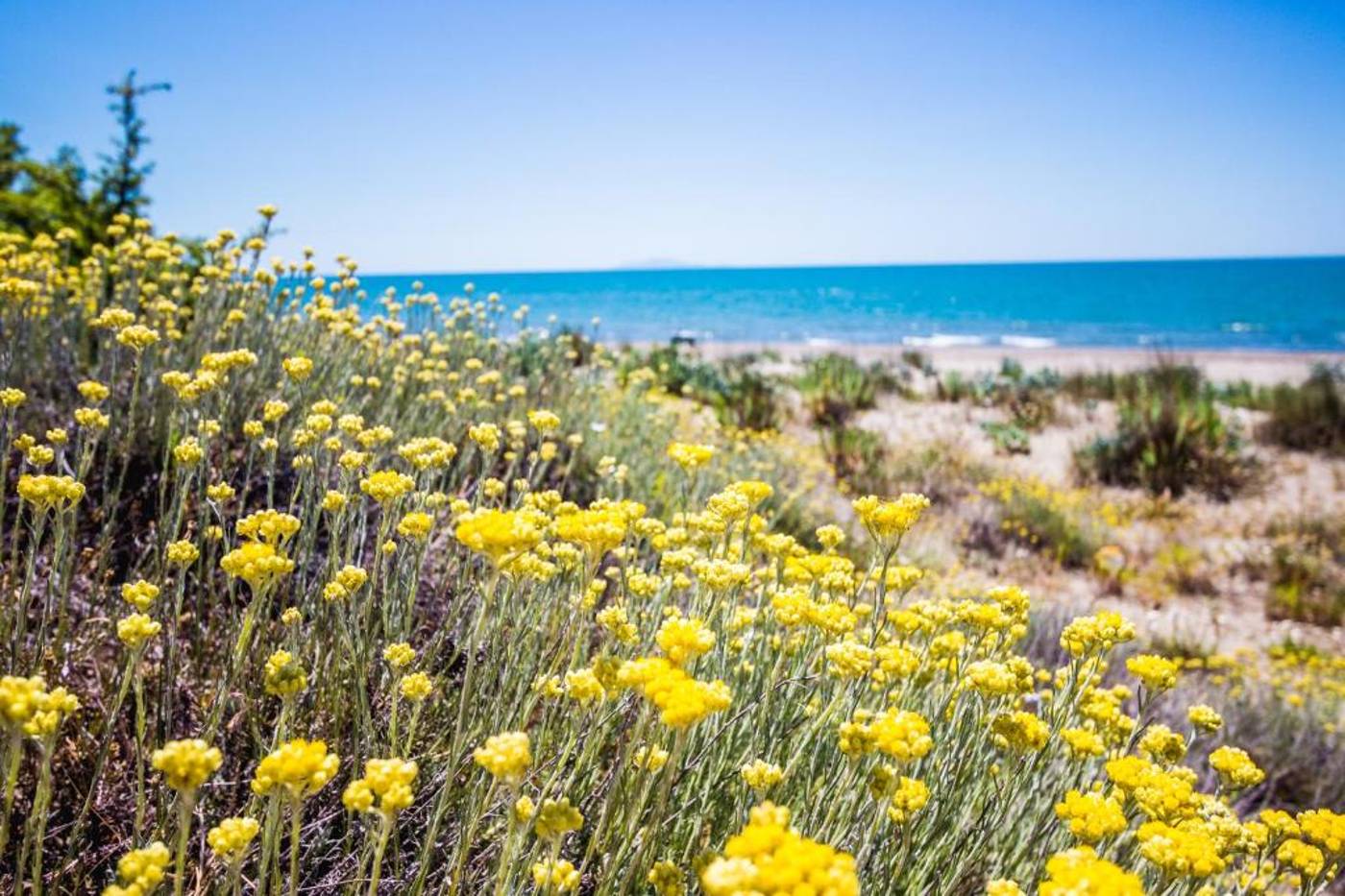La-Canova-II-Beach-34