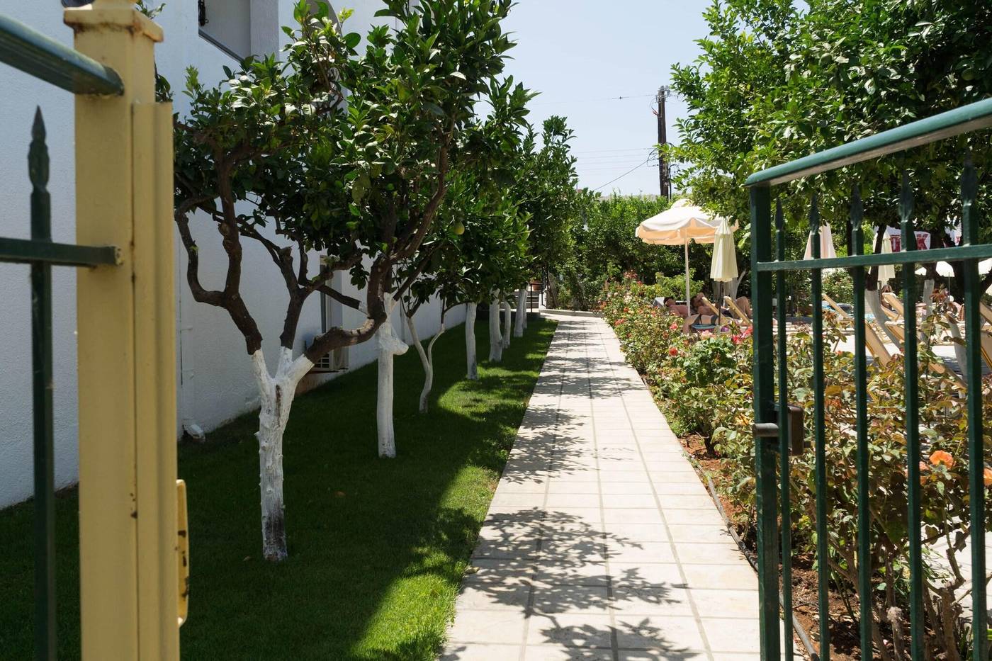 Malia-Holidays-Terrace-13