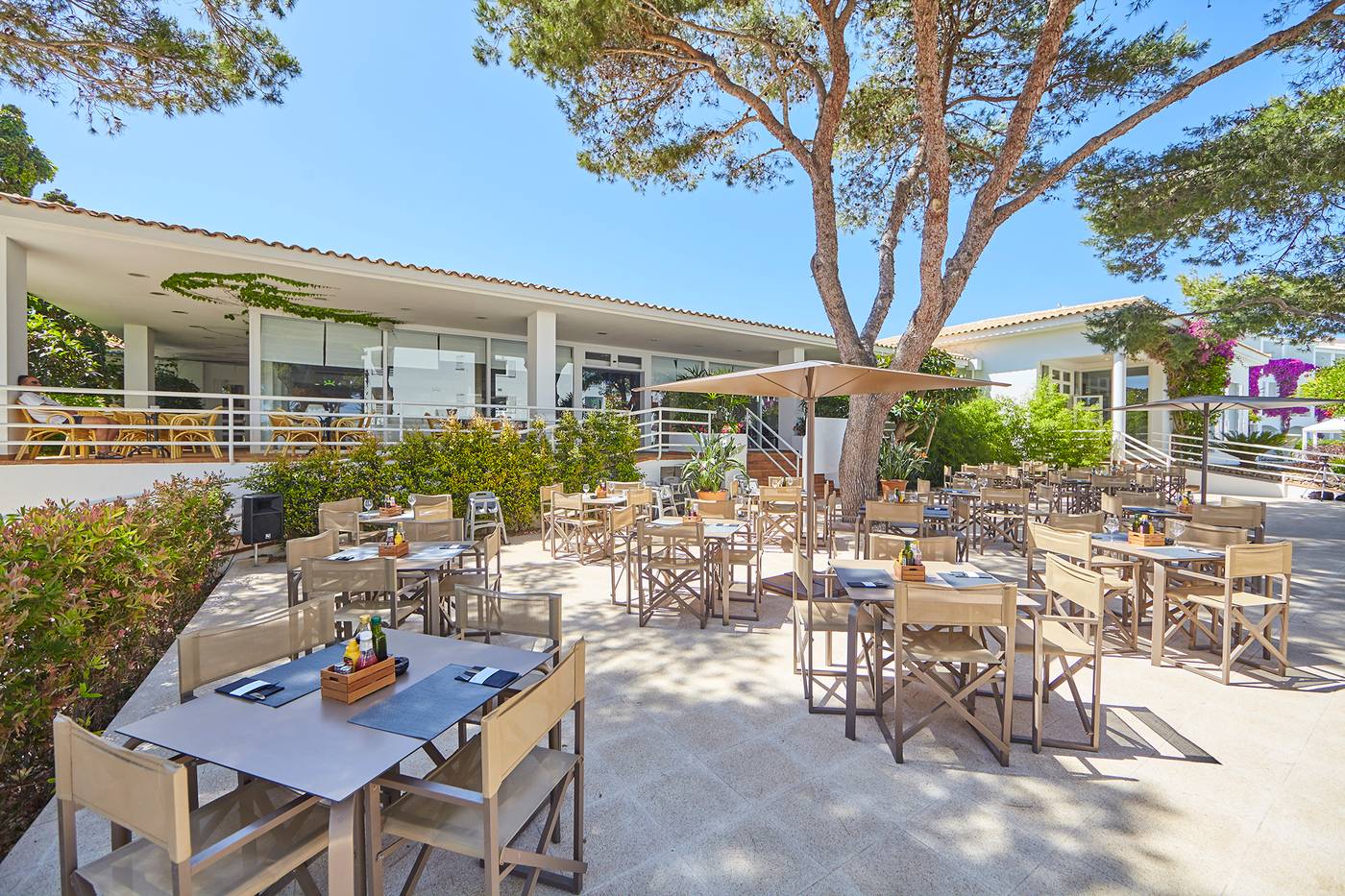 Prinsotel-la-Caleta-Apts--Bar-11