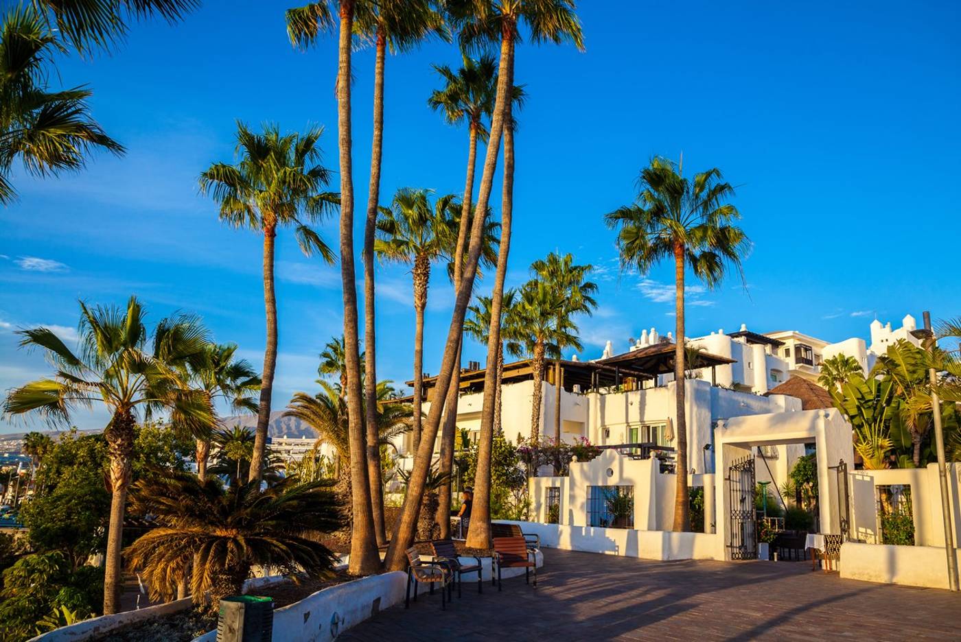 Playaolid-Suites---Apartments-General-view-7