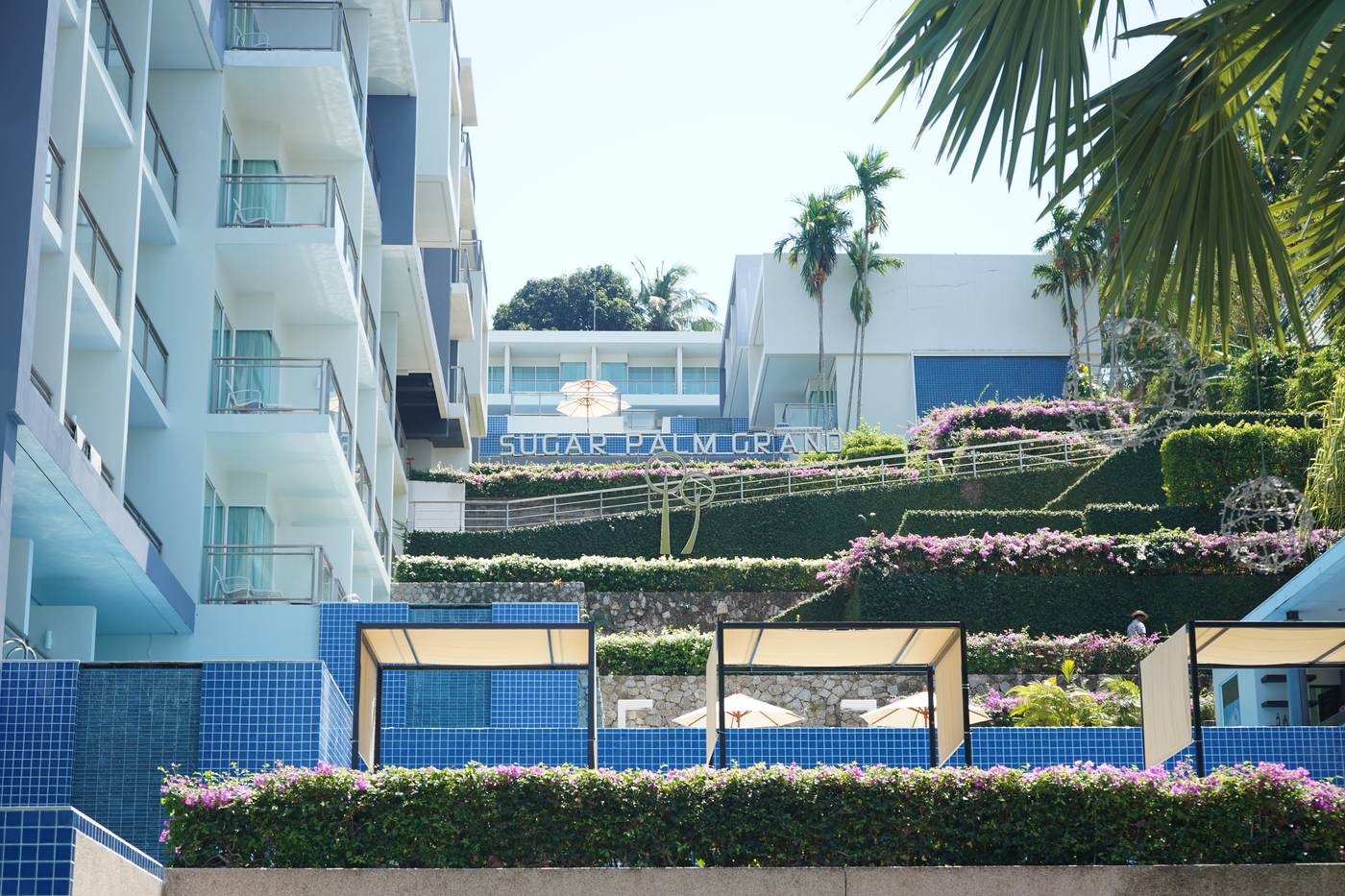 Sugar-Palm-Grand--Hillside-General-view-3