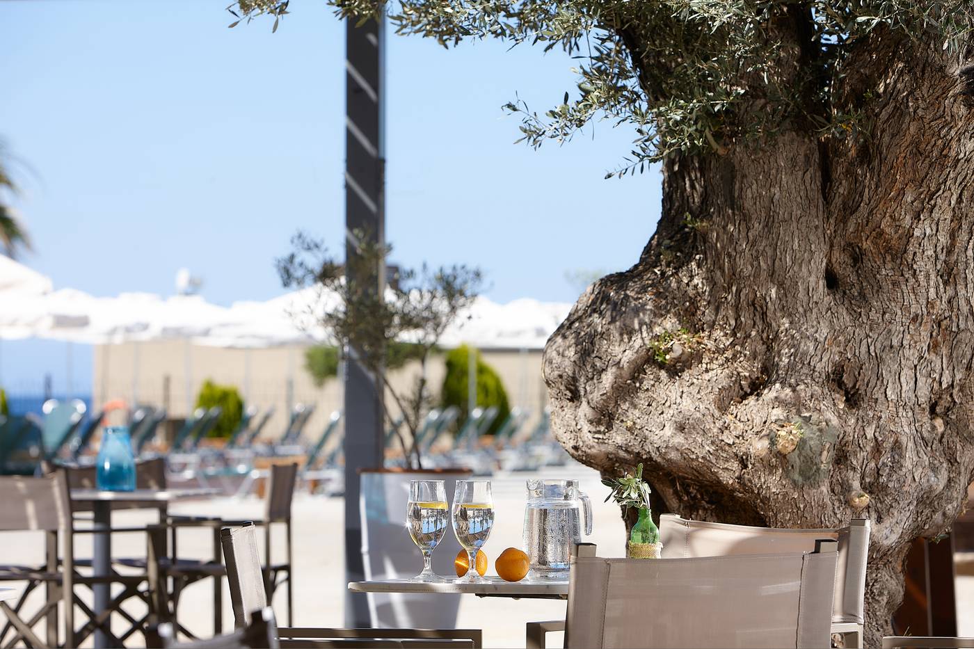 Arminda-Hotel-Bar-22