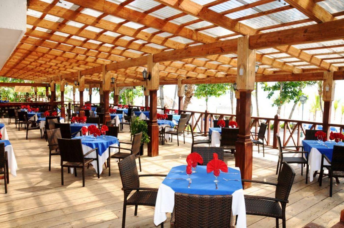 Coral Costa Caribe