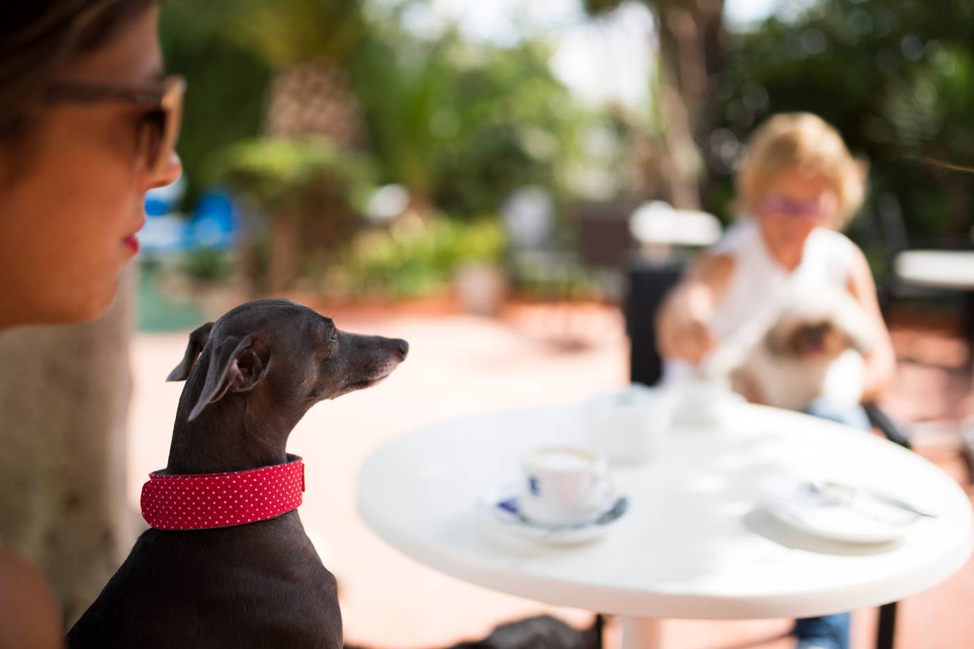 Azuline-Hotel-Galfi-Terrace-13