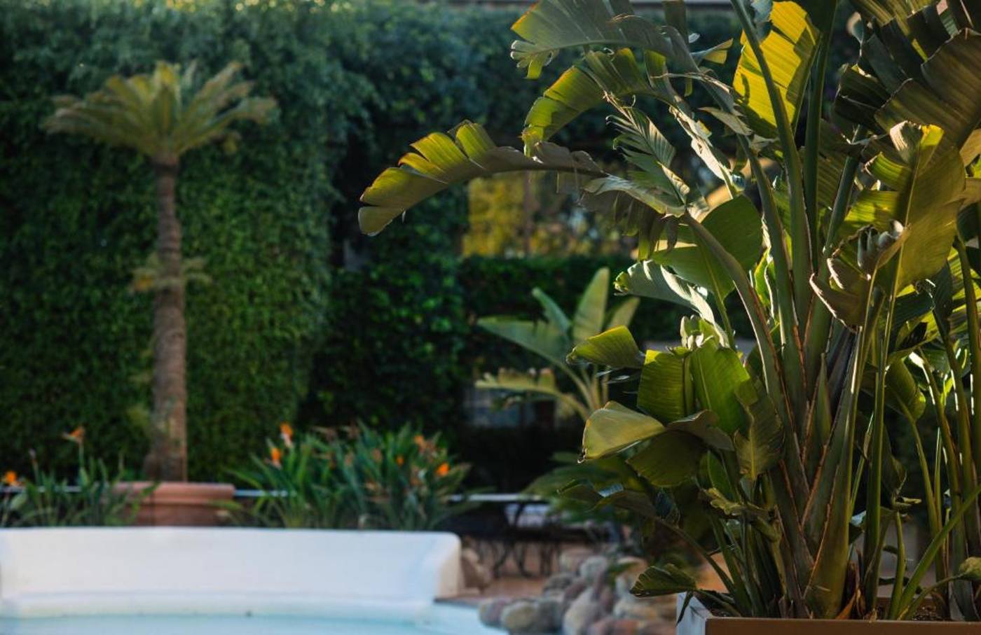 Swiss-Hotel-Moraira-General-view-68