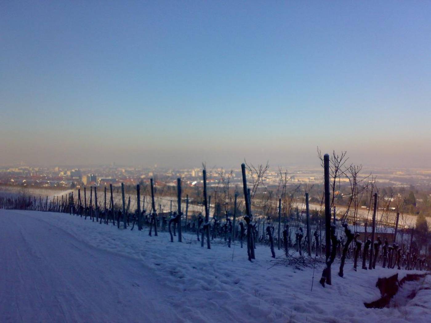 City Hotel Fellbach-Germany-FELLBACH-General view-3