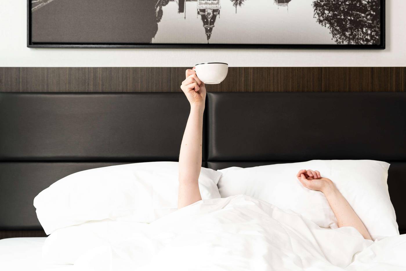 Radisson-Hotel---Suites-Amsterdam-South-Room-51