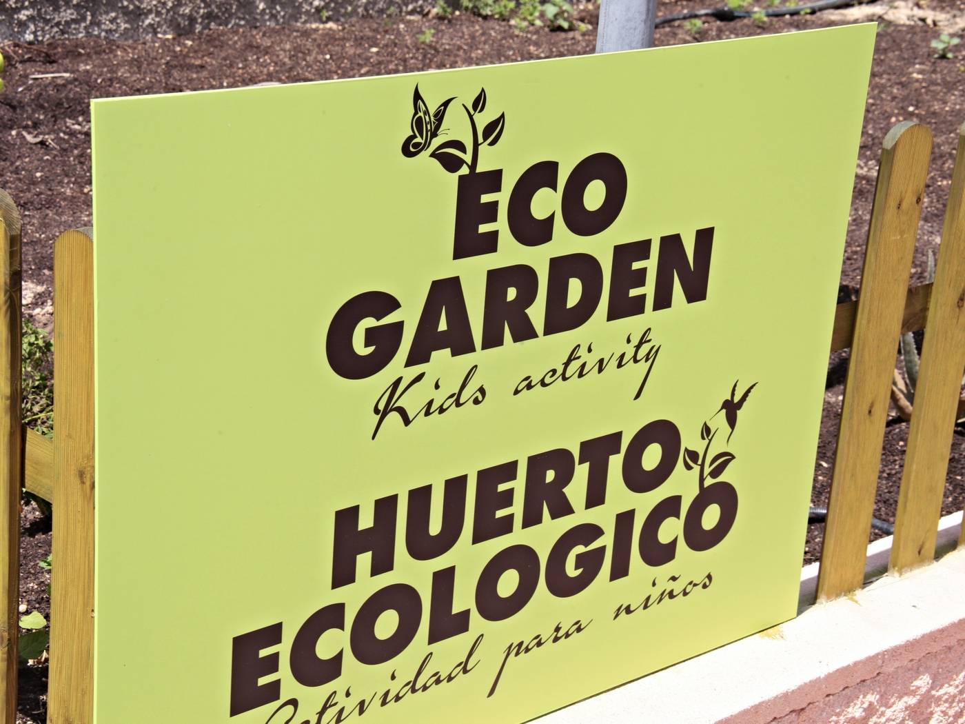 Sandos-Benidorm-Suites-Terrace-8