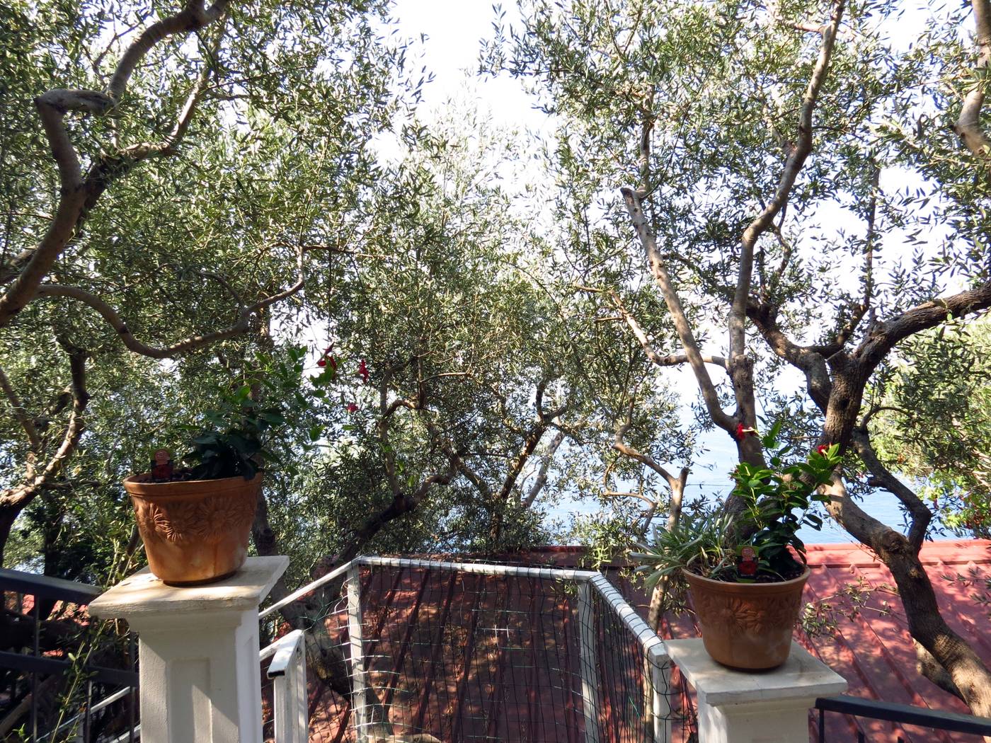 Villaggio-Baia-Serena-General-view-8