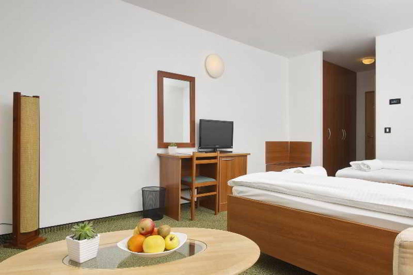 Hotel Terme Jezercica-Croatia-Donja Stubica-Room-5