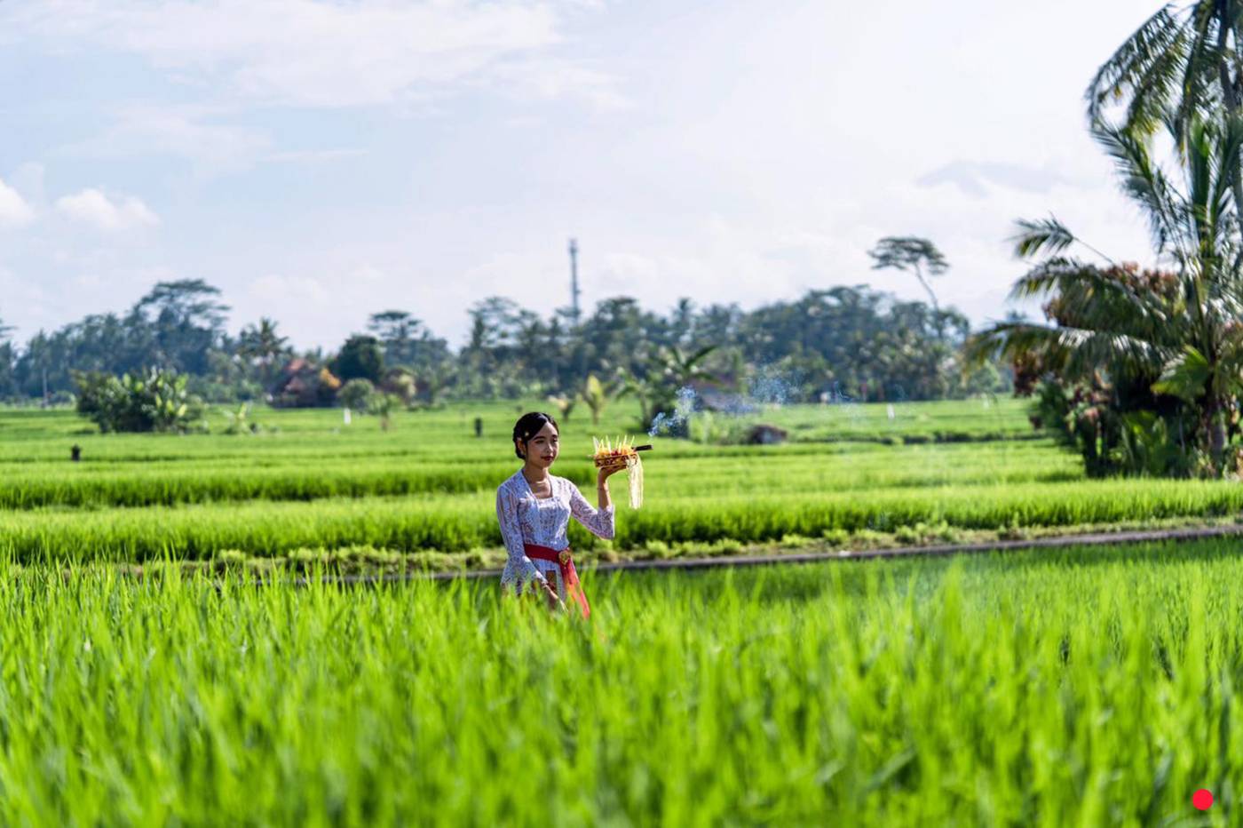 Kubu Bali Baik Villa & Resort-Indonesia-Bali-General view-1