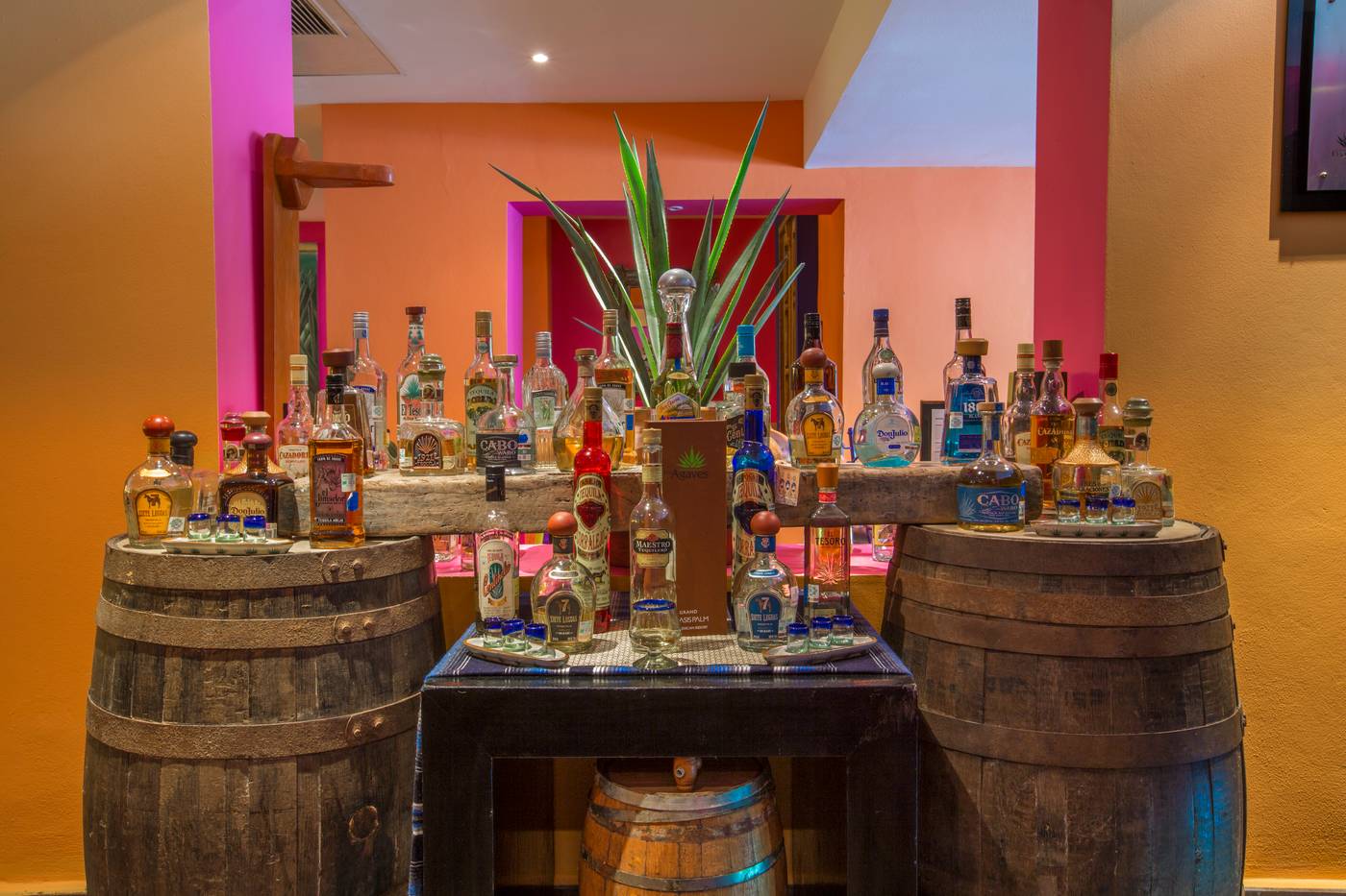 Grand-Oasis-Palm---All-Inclusive-Bar-28