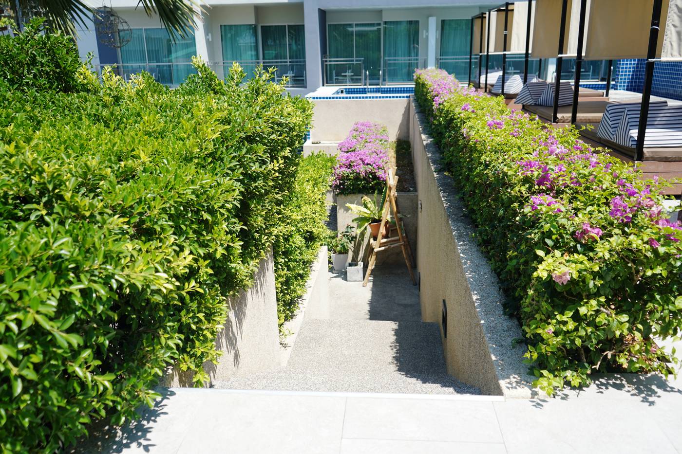 Sugar-Palm-Grand--Hillside-Pool-10