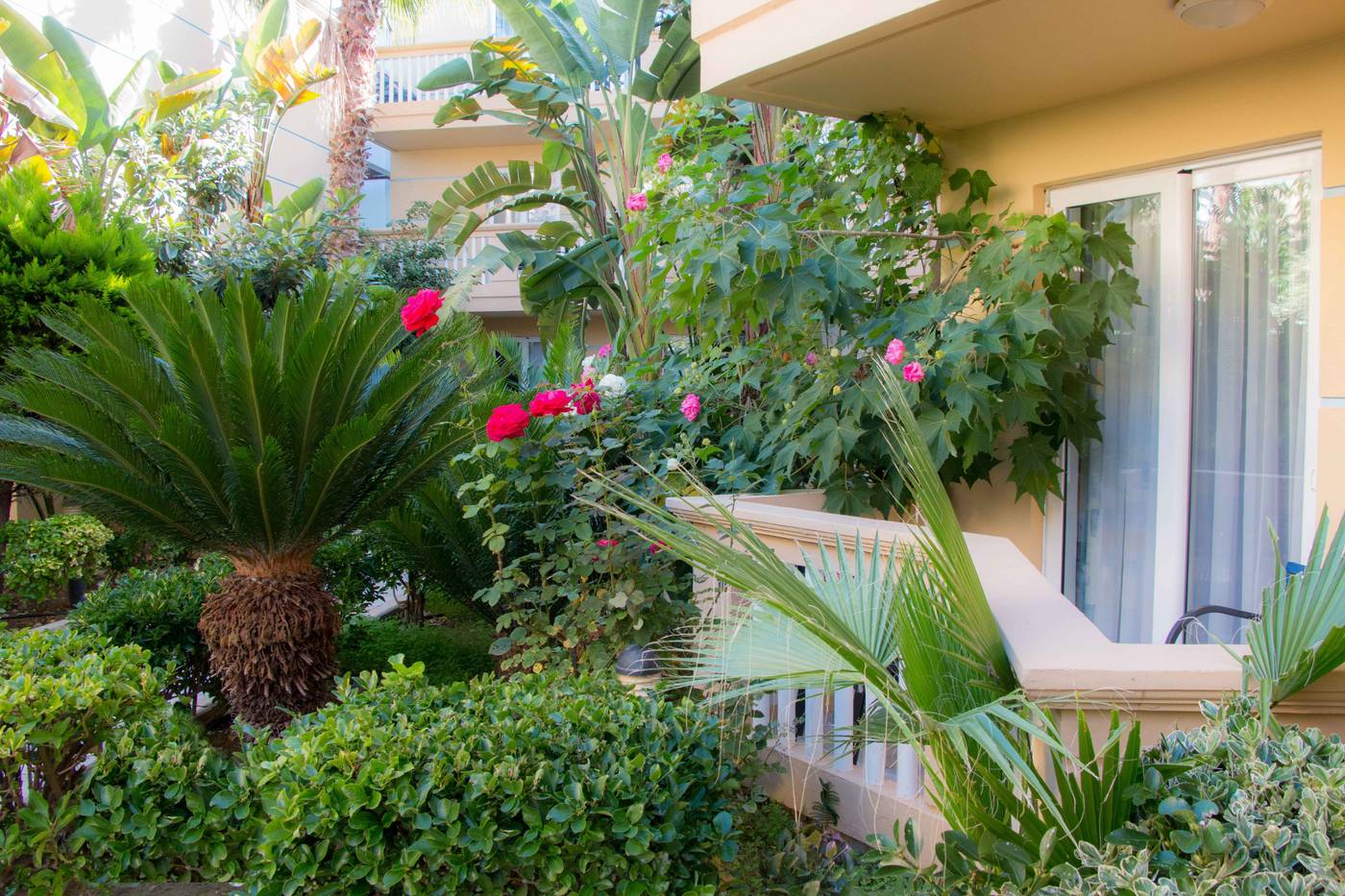 Futura-General-view-20