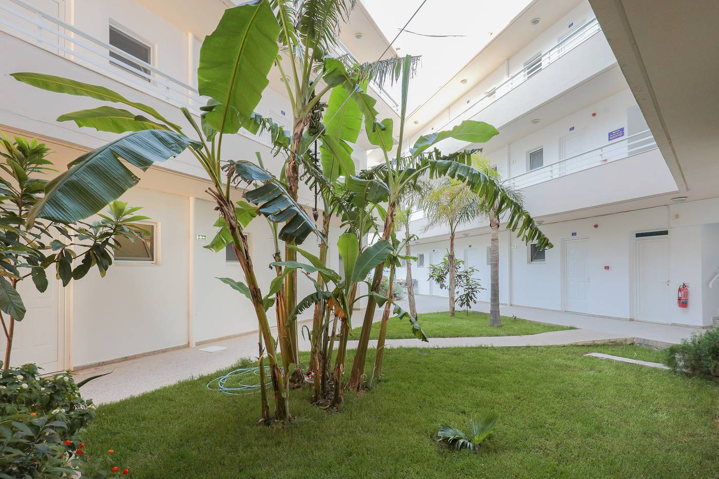 Faliraki-Dream-Studios---Apts-Terrace-34