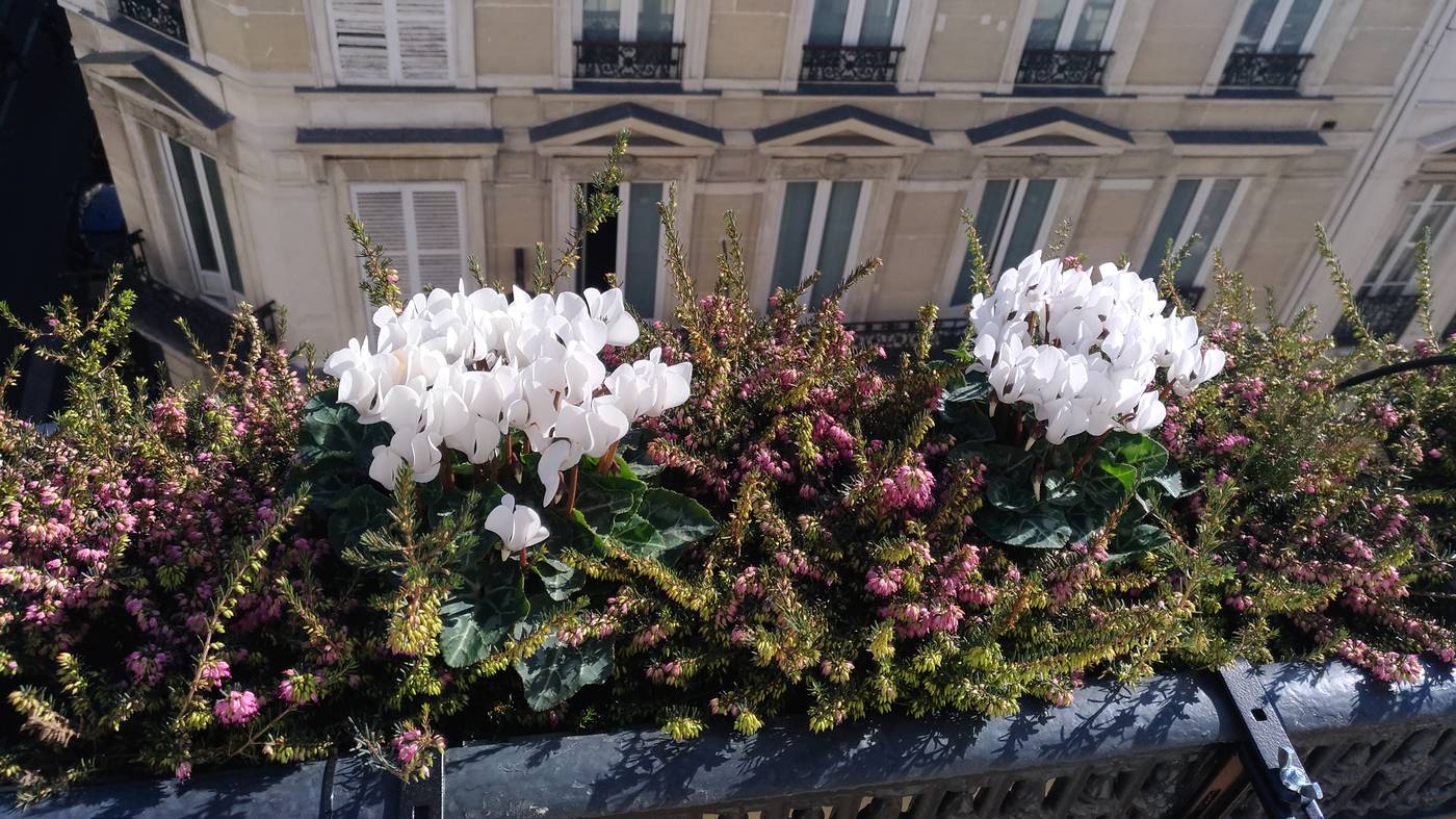 Aida-Opera-Terrace-11